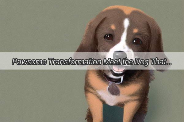 Pawsome Transformation Meet the Dog That Turned TechSavvy with AI Effects